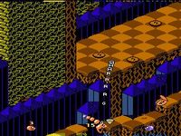 une photo d'Ã©cran de Snake Rattle n Roll sur Nintendo Nes